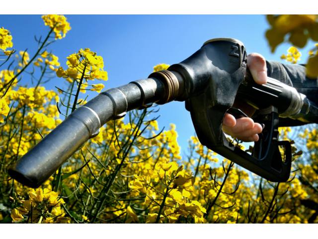 Il carburante Bio di Bosch a base di CO22 min read