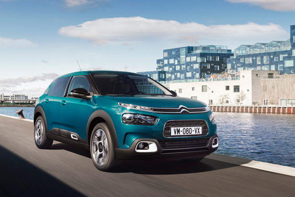 C4 cactus, lo spinoso che colpisce morbido.