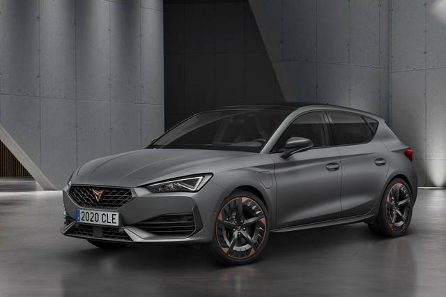 Leon cupra ibrida