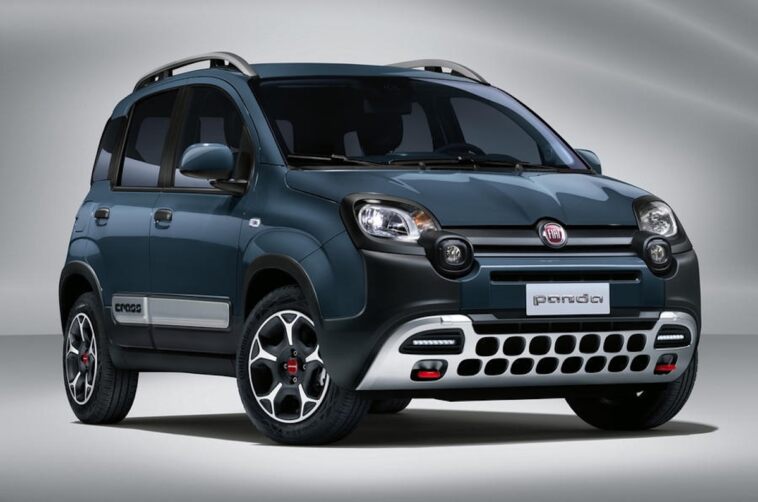 Panda Cross 2021