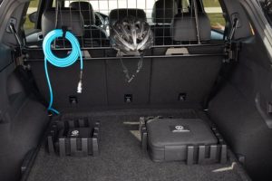 Interni Tiguan Rline